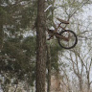 Meet your Posher, Gordon